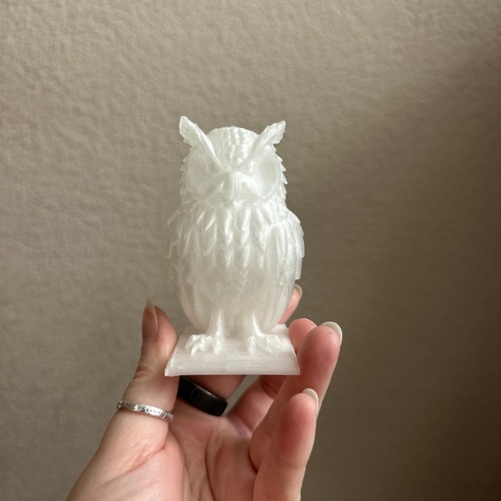 Owl 3D printed